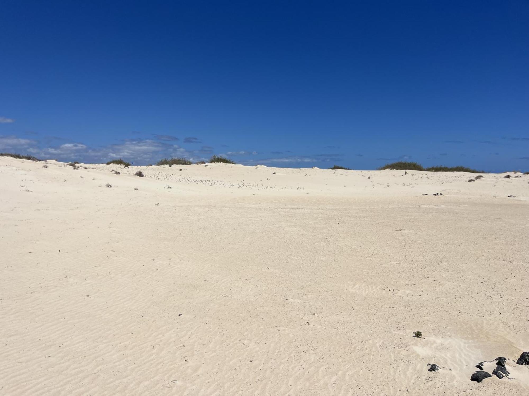 Villa Bf Paraiso De Tranquilidad Villaverde  外观 照片